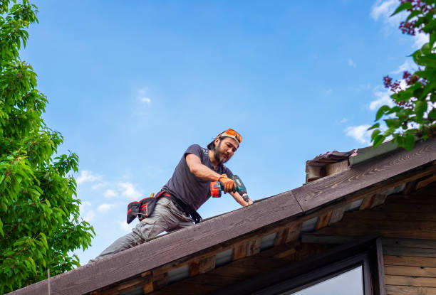 Best Roof Moss and Algae Removal  in Roland, OK